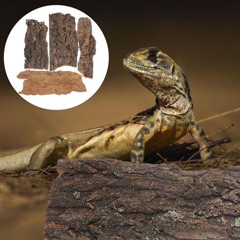4pcs Natural Cork Bark Bits Reptile Bark Bedding Flat Cork Bedding Terrariums Substrate for Snake Spiders Bearded Dragons Frogs Tank Supplies in Saudi Arabia