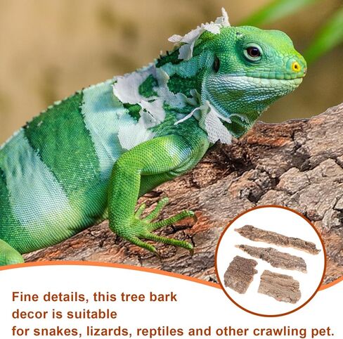 4pcs Natural Cork Bark Bits Reptile Bark Bedding Flat Cork Bedding Terrariums Substrate for Snake Spiders Bearded Dragons Frogs Tank Supplies in Saudi Arabia