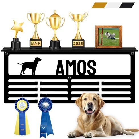 Personalized Medal Hanger Display – Custom Medal Holder, 16", 18", 20" Sizes with Name, Color & Sport Icon – Running, Soccer, Gymnastics, Race, Pickleball in Kuwait