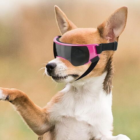 PETLESO Small Dog Goggles, Anti-UV Dog Sunglasses for Outdoor Driving Cycling Riding Hiking, Windproof Dustproof Snowproof Eye Protection, Pet Eye Wear with Adjustable Strap, Silver in Kuwait