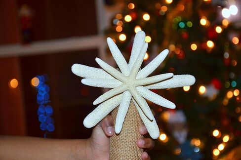 Tree Topper ، Trea Tree Topper ، شجرة عيد الميلاد على الشاطئ ، شجرة عيد الميلاد ، الشجرة الساحلية توبيبر ، شاطئ الشاطئ ، Topper ، Tremfish Tree Topper ، عيد الميلاد ، الشجرة العلوية ، الشجرة البحرية توبيبر in Saudi Arabia