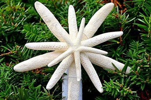 Tree Topper ، Trea Tree Topper ، شجرة عيد الميلاد على الشاطئ ، شجرة عيد الميلاد ، الشجرة الساحلية توبيبر ، شاطئ الشاطئ ، Topper ، Tremfish Tree Topper ، عيد الميلاد ، الشجرة العلوية ، الشجرة البحرية توبيبر in Saudi Arabia