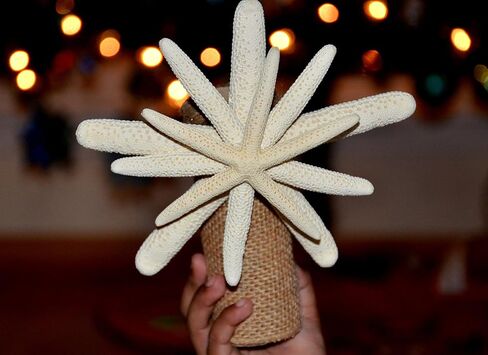 Tree Topper ، Trea Tree Topper ، شجرة عيد الميلاد على الشاطئ ، شجرة عيد الميلاد ، الشجرة الساحلية توبيبر ، شاطئ الشاطئ ، Topper ، Tremfish Tree Topper ، عيد الميلاد ، الشجرة العلوية ، الشجرة البحرية توبيبر in Saudi Arabia