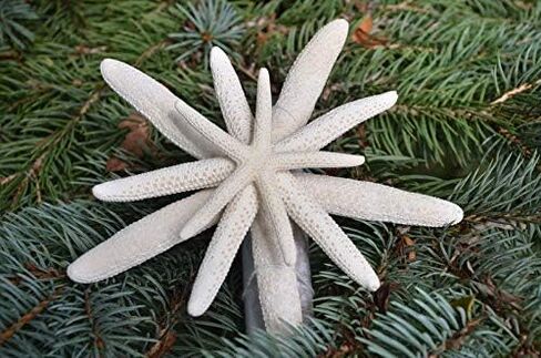 Tree Topper ، Trea Tree Topper ، شجرة عيد الميلاد على الشاطئ ، شجرة عيد الميلاد ، الشجرة الساحلية توبيبر ، شاطئ الشاطئ ، Topper ، Tremfish Tree Topper ، عيد الميلاد ، الشجرة العلوية ، الشجرة البحرية توبيبر in Saudi Arabia