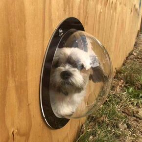 Dog Fence Window - Clear View Dome Pet Peek Window - XL Size for Dog/cat/Horse,Even Children
