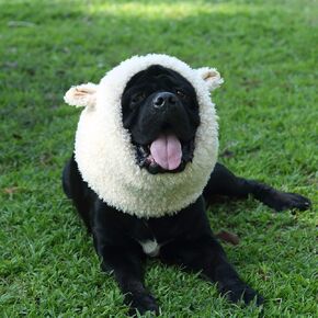 Funny Pet Reindeer Moose Costumes for Dog, Cute Furry Pet Wig for Halloween Christmas, Pet Clothing Accessories (Goat, Size L)