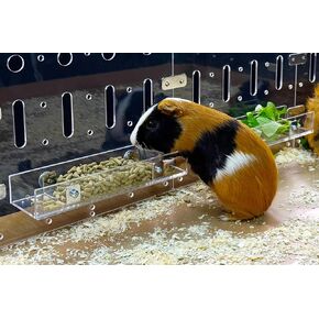 Guinealoft ™ Food Feeder - قل وداعًا للأوعية التقليدية! التغذية النهائية للحيوانات الأليفة الصغيرة مثل خنازير غينيا والأرانب والشينشيلات. صممه وصنعه أصحابها المحنك - غينيا دور علوي حصري in Kuwait