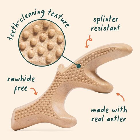 WOOF HonestChew Dog Toy Antler - Durable Dog Chew Toy - Made with Natural, Plant-Based Ingredients - Splinter-Resistant - Safer Than Dog Bones - Medium in Kuwait