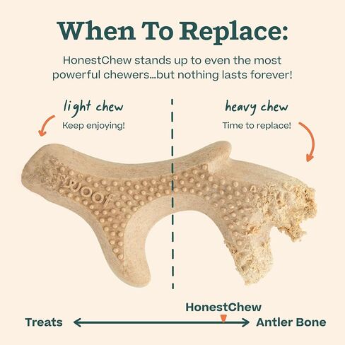 WOOF HonestChew Dog Toy Antler - Durable Dog Chew Toy - Made with Natural, Plant-Based Ingredients - Splinter-Resistant - Safer Than Dog Bones - Medium in Kuwait