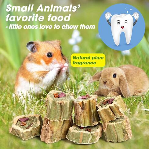 ألعاب Abizoo Rabbit Chew For Bunny Natural Papaya Wood Chew مع قش البرسيم العضوي ، والجزر المجفف ، والتفاح والبطاطا الحلوة للأرانب الخنازير غينيا الهامستر شينشيلاس جيربيلز (3.5 أوقية/100 جرام) in Kuwait
