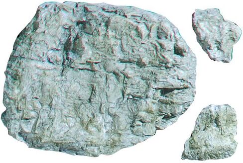 ملعب الوجه الصخور العفن غابات المناظر in Saudi Arabia