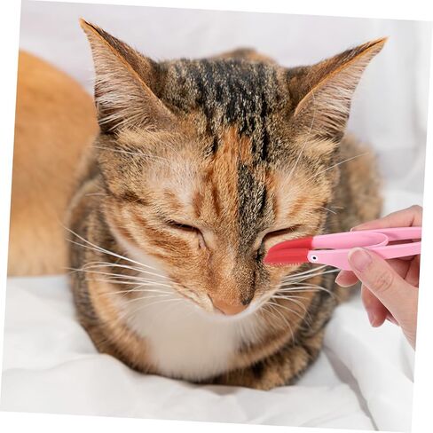 Kisangel 3pcs الكلاب العيون مشط دموع علامة للقطط الحيوانات الأليفة المادة صندوق تخزين ملائم لسفر أداة الاستمالة للتنظيف المسيل للدموع in Kuwait