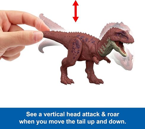 Mattel Jurassic World Rebirth Wild Roar Dinosaur Toy ، Aucasaurus مع Chomp خاضع للرقابة ، هجوم وصوت متعدد الاتجاهات ، Play Digital in Kuwait