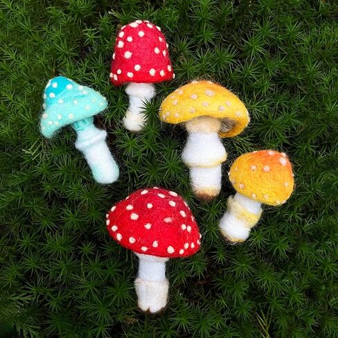 طقم Bergin & Bath Eeedle Courting ، Toadstools - مجموعة الحرف الفنية للبالغين للمبتدئين - الصوف الصديق للكوكب in Kuwait