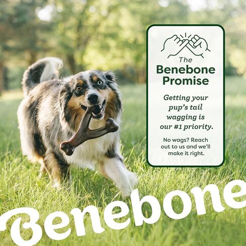 Benebone 2-Pack Fishbone/Wishbone Durable Dog Chew Toys, Real Fish, Real Bacon, Made in USA, Small in Kuwait