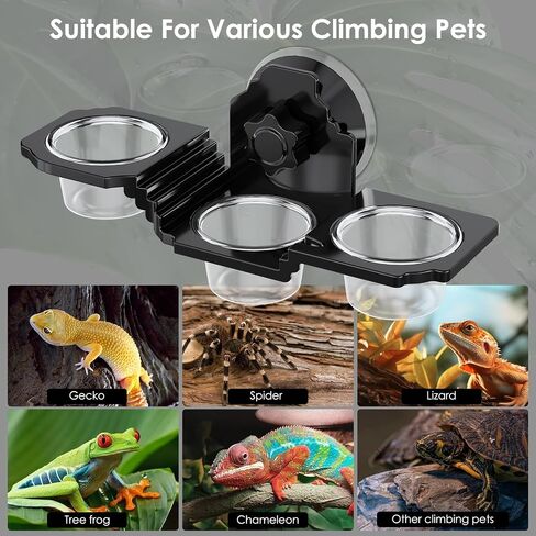 طبق غذائي Crested Gecko ، طبق تغذية الزواحف - حافة التغذية All -In -One مع 6 أكواب PVC ، تصميم كأس شفط قوي - من أجل Crested Geckos و Leopard Geckos و Beated Dragon & Birds in Saudi Arabia