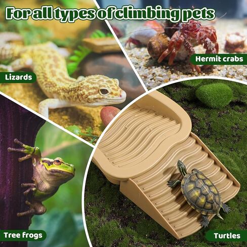 Large Reptile Water Bowl with Ramp, Thickened Non-Slip Feeding Dish & Bathing Pool for Turtle, Snake, Gecko, Bearded Dragons, Lizard Habitat Accessories in Saudi Arabia