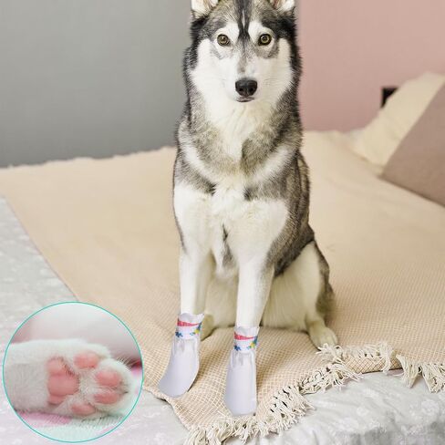 20Pcs Disposable Dog Booties for Paw Protection Self-Adhesive Waterproof Adjustable Straps Dog Shoes for Indoor & Outdoor Walking Hiking Feet Covers in Saudi Arabia