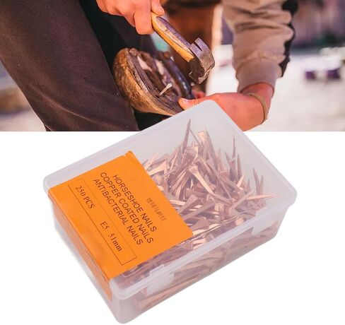 Pwshymi 250PCS Horseshoe Nails Copper Plated with Storage Box, Equestrian Riding Equipment for Horse Hoof Care (51mm E5) in Kuwait