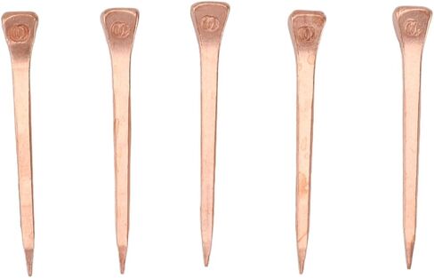 Pwshymi 250PCS Horseshoe Nails Copper Plated with Storage Box, Equestrian Riding Equipment for Horse Hoof Care (51mm E5) in Kuwait