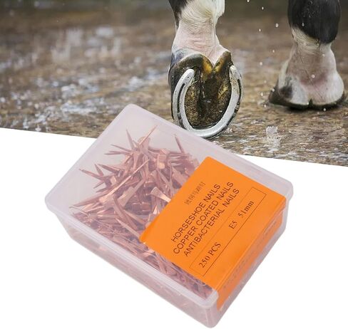 250 PCS Horseshoe Nails, Copper Nail Accessory Horse Hoof Equipment Equestrian Accessory for Riding Training Sports Supplies (45mm E3) in Saudi Arabia
