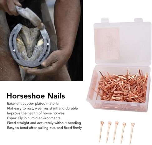250 PCS Horseshoe Nails, Copper Nail Accessory Horse Hoof Equipment Equestrian Accessory for Riding Training Sports Supplies (45mm E3) in Saudi Arabia