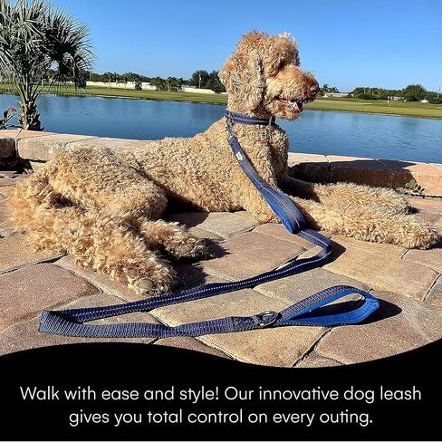 Black Rhino Heavy Duty Dog Leash for Medium and Large Dogs - 6 ft Long Double Handle Leash with Padded Traffic Control Handles and Bag for Comfort - Reflective, Durable, and Weather Resistant (Aqua) in Kuwait