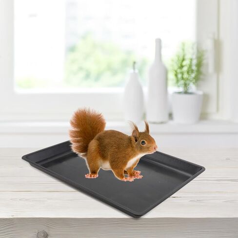 1pc Rabbit Cage Manure Tray Food Trays Indoor Rabbit Enclosure Plastic Pet Carrier Dog Crates Crate Liner for Dog Cages Ferret Crate Cat Cage Plastic Pet in Saudi Arabia