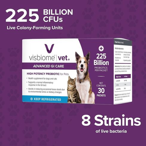 Visbiome® Vet Advanced GI Care Probiotic for Dogs & Cats-225b CFU ، صيغة مكونة من 8 خطوط-موصى بها من الطبيب البيطري ، معتمد من الملصقات-30 حزمة in Kuwait