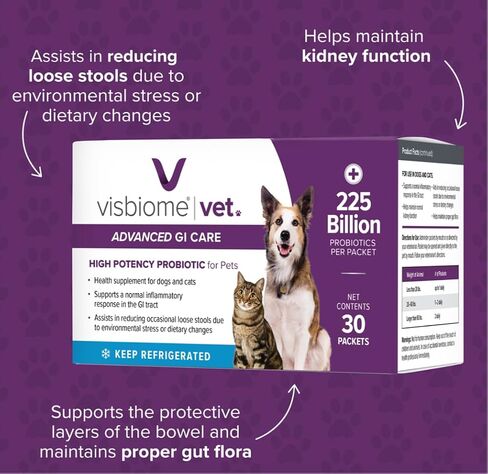 Visbiome® Vet Advanced GI Care Probiotic for Dogs & Cats-225b CFU ، صيغة مكونة من 8 خطوط-موصى بها من الطبيب البيطري ، معتمد من الملصقات-30 حزمة in Kuwait