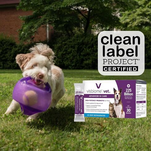 Visbiome® Vet Advanced GI Care Probiotic for Dogs & Cats-225b CFU ، صيغة مكونة من 8 خطوط-موصى بها من الطبيب البيطري ، معتمد من الملصقات-30 حزمة in Kuwait
