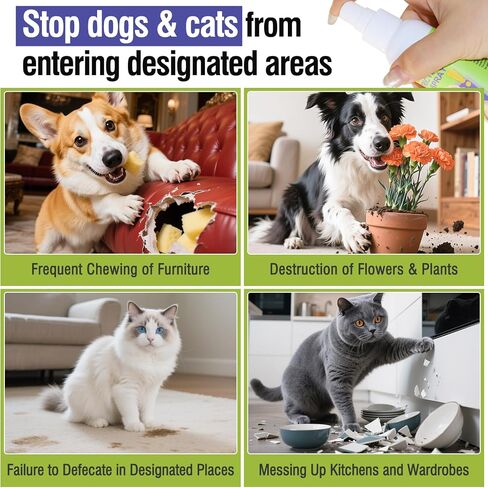 Pet Deterrent Spray - Stops Cat & Dog Peeing, Chewing, Scratching, Natural Citrus & Lemon Formula, Safe, Stain-Free Pee Corrector for Furniture, Shoes Indoor & Outdoor Training (4oz) in Saudi Arabia
