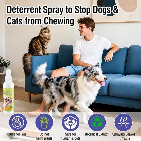 Pet Deterrent Spray - Stops Cat & Dog Peeing, Chewing, Scratching, Natural Citrus & Lemon Formula, Safe, Stain-Free Pee Corrector for Furniture, Shoes Indoor & Outdoor Training (4oz) in Saudi Arabia