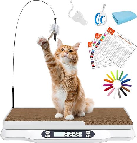 مقياس PET متعدد الوظائف MAX 66 رطل CAT Dog مقياس مع شاشة LCD وشاشة HOLD/TARE لجرى القطط تشمل ألعاب الخدش واللوازم الصحية in Saudi Arabia