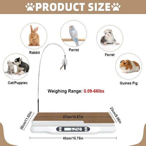 مقياس PET متعدد الوظائف MAX 66 رطل CAT Dog مقياس مع شاشة LCD وشاشة HOLD/TARE لجرى القطط تشمل ألعاب الخدش واللوازم الصحية in Saudi Arabia