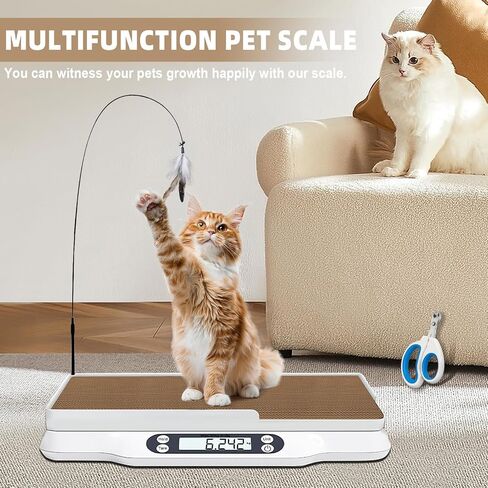 مقياس PET متعدد الوظائف MAX 66 رطل CAT Dog مقياس مع شاشة LCD وشاشة HOLD/TARE لجرى القطط تشمل ألعاب الخدش واللوازم الصحية in Saudi Arabia