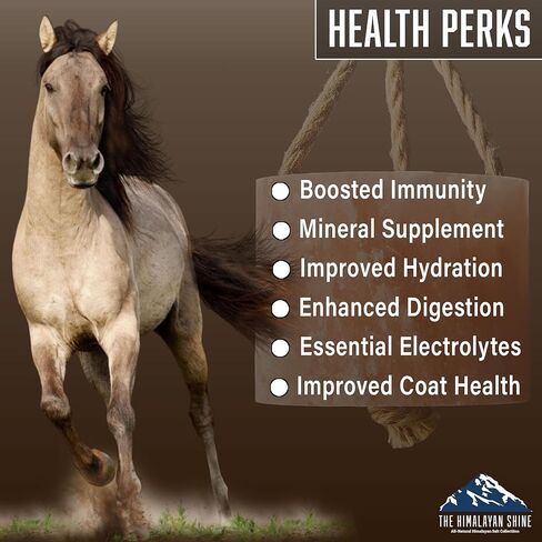 Himalayan Salt Lick Block | Pack of 4 | Salt Chunk Lick Weighs 5.5lbs Each | Lick Salt Block on Rope | Best to use for Horse, Sheep, Deer & Livestock Animals | Deer Attractant for Hunting in Saudi Arabia