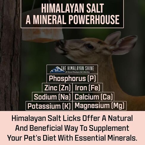 Himalayan Salt Lick Block | Pack of 4 | Salt Chunk Lick Weighs 5.5lbs Each | Lick Salt Block on Rope | Best to use for Horse, Sheep, Deer & Livestock Animals | Deer Attractant for Hunting in Saudi Arabia