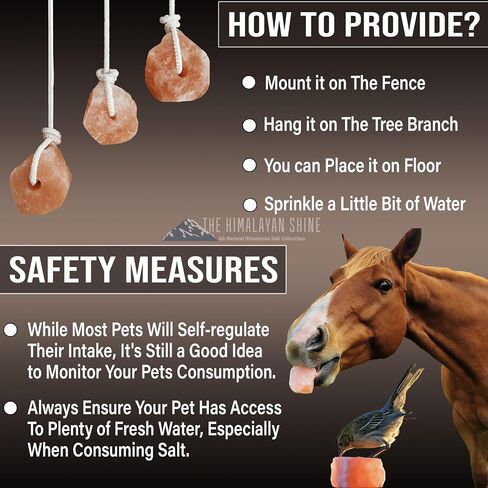 Himalayan Salt Lick Block | Pack of 4 | Salt Chunk Lick Weighs 5.5lbs Each | Lick Salt Block on Rope | Best to use for Horse, Sheep, Deer & Livestock Animals | Deer Attractant for Hunting in Saudi Arabia