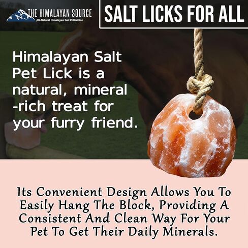 Himalayan Salt Lick Block | Pack of 4 | Salt Chunk Lick Weighs 5.5lbs Each | Lick Salt Block on Rope | Best to use for Horse, Sheep, Deer & Livestock Animals | Deer Attractant for Hunting in Saudi Arabia
