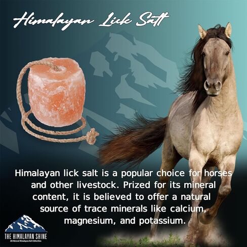 Himalayan Salt Lick Block | Pack of 4 | Salt Chunk Lick Weighs 5.5lbs Each | Lick Salt Block on Rope | Best to use for Horse, Sheep, Deer & Livestock Animals | Deer Attractant for Hunting in Saudi Arabia