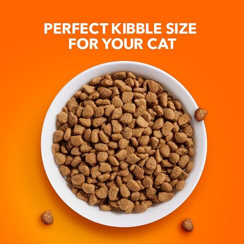 IAMS PTACTICTY HEALLE HEALTH COWNBALL CARE FOOD DRY CAT مع الدجاج وسمك السلمون ، 7 رطل. in Kuwait