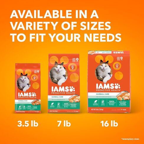 IAMS PTACTICTY HEALLE HEALTH COWNBALL CARE FOOD DRY CAT مع الدجاج وسمك السلمون ، 7 رطل. in Kuwait