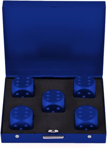DS.DISTINCTIVE STYLE Aluminum Alloy Dice 5 Pieces 16mm Portable Metal Dices with Case 6 Sided Dice for Party Game in Saudi Arabia