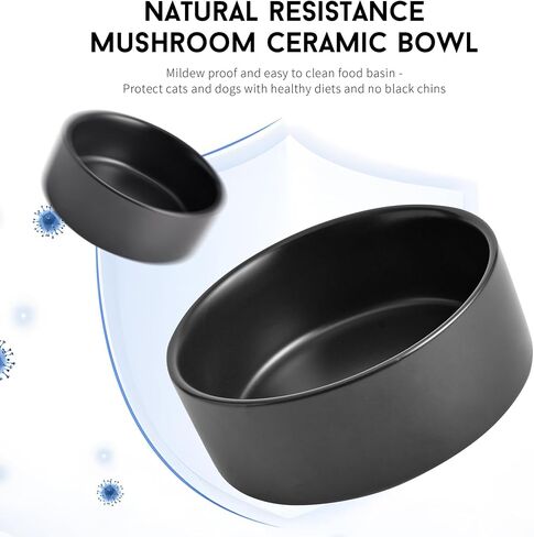 Black Ceramic Dog & Cat Bowl Set – 13.5 OZ with Wooden Stand, Non-Slip, Elevated Design for Small Dogs & Cats – 2 Bowls (Food & Water, Ceramic Pet Bowls, Modern Dog Bowls) in Kuwait