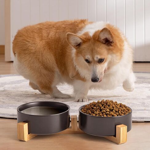Black Ceramic Dog & Cat Bowl Set – 13.5 OZ with Wooden Stand, Non-Slip, Elevated Design for Small Dogs & Cats – 2 Bowls (Food & Water, Ceramic Pet Bowls, Modern Dog Bowls) in Kuwait