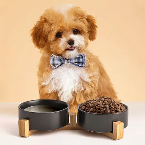 Black Ceramic Dog & Cat Bowl Set – 13.5 OZ with Wooden Stand, Non-Slip, Elevated Design for Small Dogs & Cats – 2 Bowls (Food & Water, Ceramic Pet Bowls, Modern Dog Bowls) in Kuwait