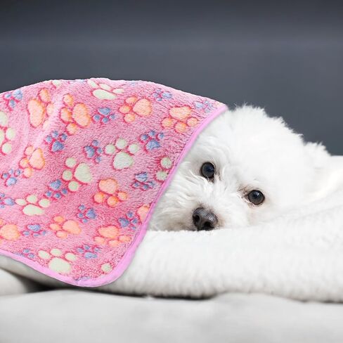 12 pcs dog blanket pet paw print fleece بطانية قطة ناعمة دافئة حصيرة حصيرة غينيا خنازير القفص بطانات صغيرة متوسطة الأليف ضرورية للحيوانات الأليفة محل متجر فتاة بوي جرو in Saudi Arabia