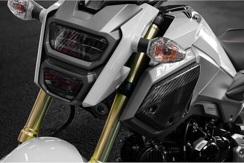دراجة نارية من ألياف الكربون ABS هيكل السيارة الجانب غطاء خزان صالح لهوندا Grom Msx125 SF 2016-2020 Fairings Kit أجزاء in Saudi Arabia
