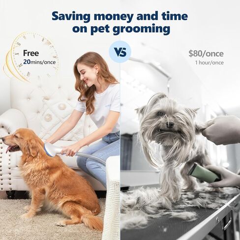 طقم فراغ للاستمالة للحيوانات الأليفة ، كليبرز ، الكلاب المهنية مع كوب 2 لتر ، 16 مستويات أوضاع شفط ، كليبرز من اللاسلكي ، 5 أدوات العريس ، تقليم شعر الحيوانات الأليفة المنخفضة للكلاب والقطط والحيوانات الأخرى in Kuwait